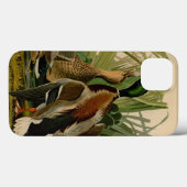 Mallard Duck Audubon Bird Malerei Case-Mate iPhone Hülle (Rückseite (Horizontal))