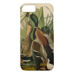 Mallard Duck Audubon Bird Malerei Case-Mate iPhone Hülle