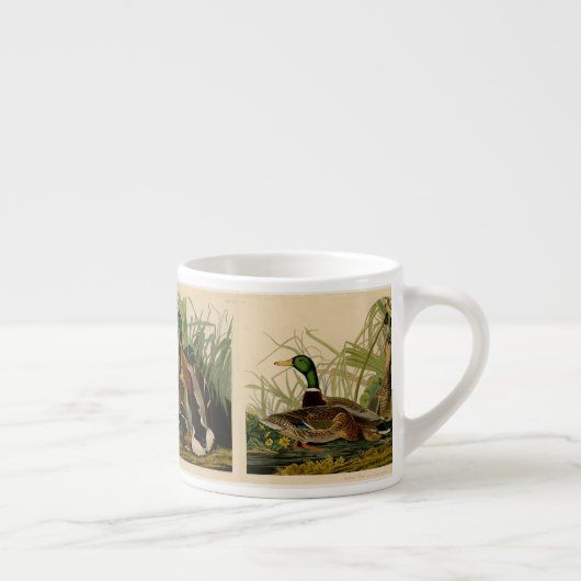 Mallard Duck Audubon Bird Malerei Espressotasse (Rechts)