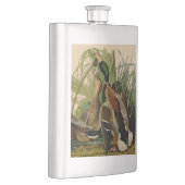 Mallard Duck Audubon Bird Malerei Flachmann (Rechts)