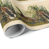 Mallard Duck Audubon Bird Malerei Geschenkpapier (Rolleneckpunkt)