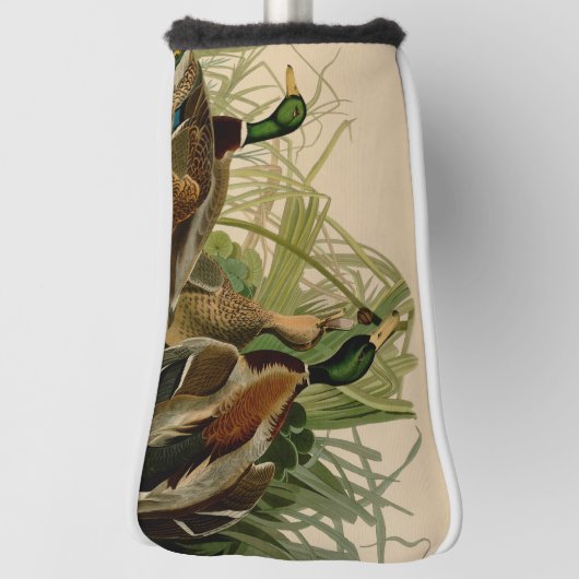Mallard Duck Audubon Bird Malerei Golf Headcover (Rotieren 90)