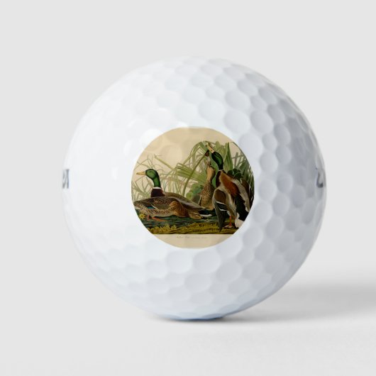 Mallard Duck Audubon Bird Malerei Golfball (Vorderseite)