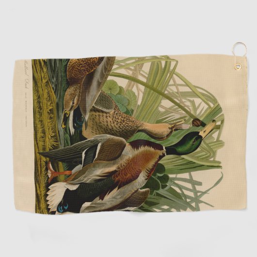 Mallard Duck Audubon Bird Malerei Golfhandtuch (Horizontal)