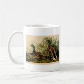 Mallard Duck Audubon Bird Malerei Kaffeetasse (Links)