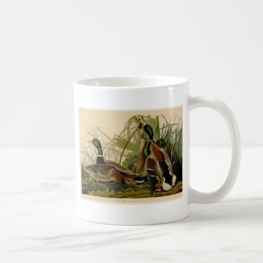Mallard Duck Audubon Bird Malerei Kaffeetasse (Rechts)