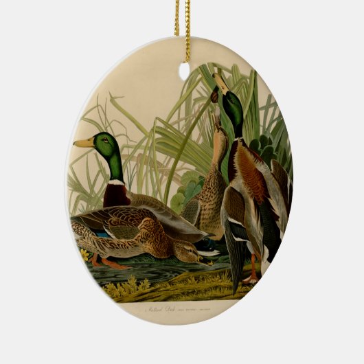 Mallard Duck Audubon Bird Malerei Keramik Ornament (Rechts)