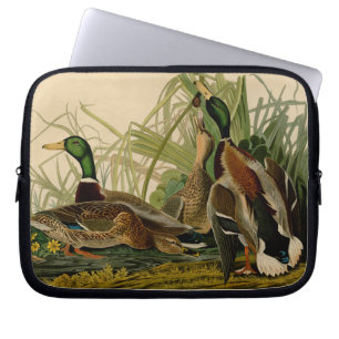 Mallard Duck Audubon Bird Malerei Laptopschutzhülle