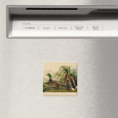 Mallard Duck Audubon Bird Malerei Magnet (In Situ (Geschirrspüler))