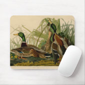 Mallard Duck Audubon Bird Malerei Mousepad (Mit Mouse)