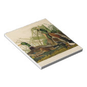 Mallard Duck Audubon Bird Malerei Notizblock (angewinkelt)