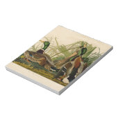 Mallard Duck Audubon Bird Malerei Notizblock (Rotiert)