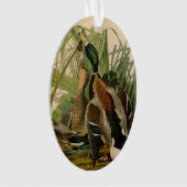 Mallard Duck Audubon Bird Malerei Ornament (Vorderseite)