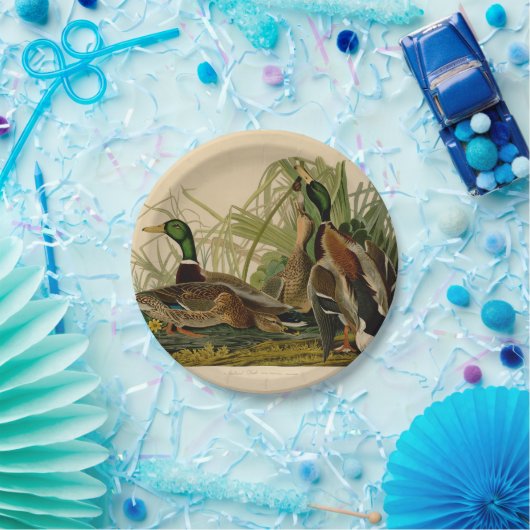 Mallard Duck Audubon Bird Malerei Pappteller (Party)