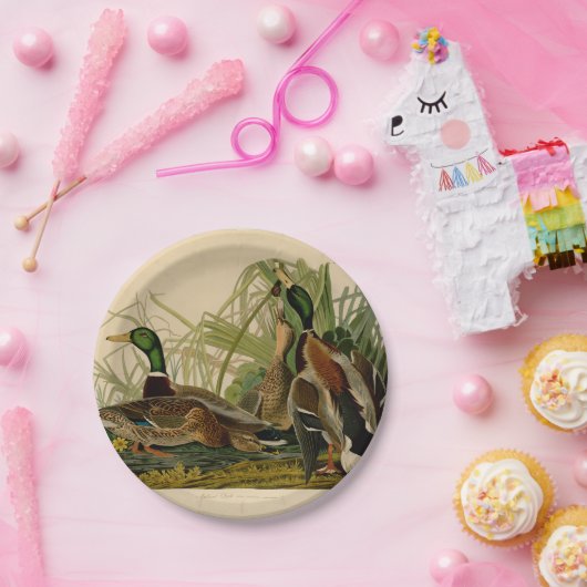 Mallard Duck Audubon Bird Malerei Pappteller (Party)