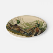 Mallard Duck Audubon Bird Malerei Pappteller (Schrägansicht)