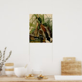 Mallard Duck Audubon Bird Malerei Poster (Küche)