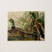 Mallard Duck Audubon Bird Malerei Puzzle (Horizontal)