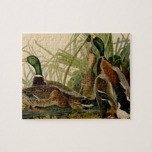 Mallard Duck Audubon Bird Malerei Puzzle (Horizontal)