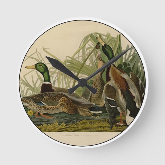 Mallard Duck Audubon Bird Malerei Runde Wanduhr (Vorderseite)
