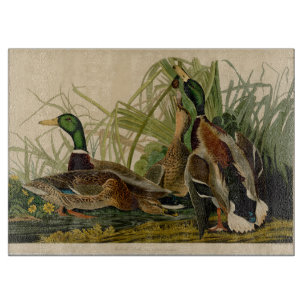 Mallard Duck Audubon Bird Malerei Schneidebrett