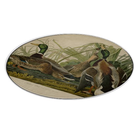 Mallard Duck Audubon Bird Malerei Schneidebrett (Ecke)
