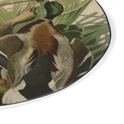 Mallard Duck Audubon Bird Malerei Schneidebrett (Ecke)