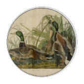 Mallard Duck Audubon Bird Malerei Schneidebrett (Vorderseite)