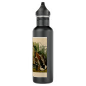 Mallard Duck Audubon Bird Malerei Trinkflasche (Rechts)