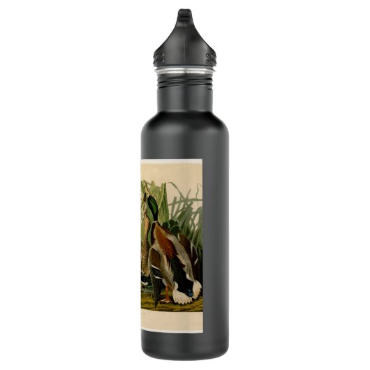 Mallard Duck Audubon Bird Malerei Trinkflasche (Rechts)