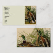 Mallard Duck Audubon Bird Malerei Visitenkarte (Vorne/Hinten)