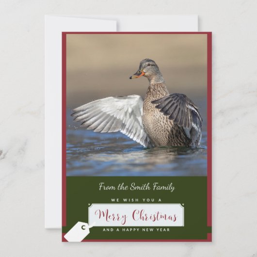 Mallard Duck auf einer Weihnachtskarte Feiertagskarte (Vorderseite)