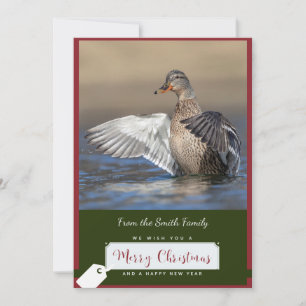 Mallard Duck auf einer Weihnachtskarte Feiertagskarte