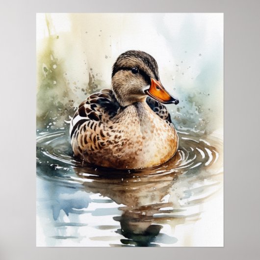 Mallard Duck Bird Art Print Poster (Vorne)