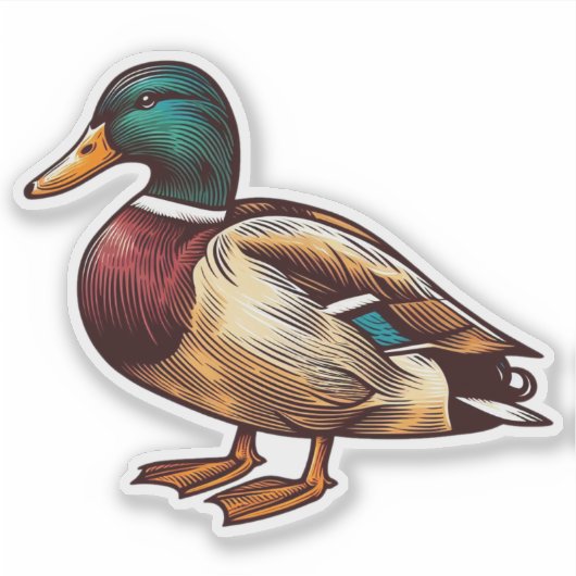 Mallard Duck bird Custom Cut Vinyl Sticker (Vorderseite)