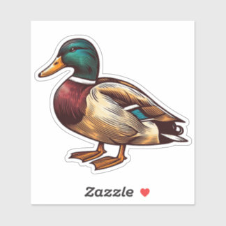 Mallard Duck bird Custom Cut Vinyl Sticker
