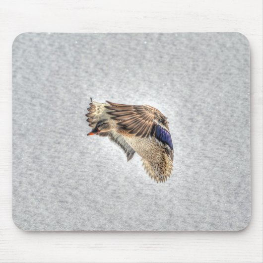 Mallard Duck Birdlover Wildlife Foto Mousepad (Vorne)