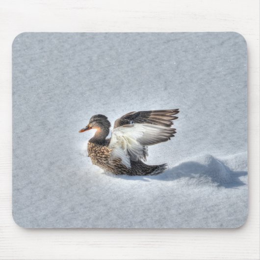 Mallard Duck Birdlover Wildlife Foto Mousepad (Vorne)