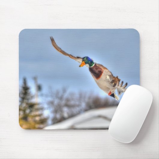 Mallard Duck Birdlover Wildlife Foto Mousepad (Mit Mouse)