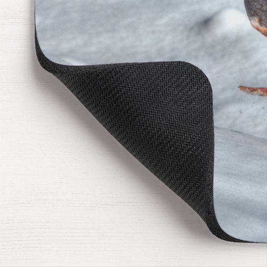 Mallard Duck Birdlover Wildlife Foto Mousepad (Ecke)