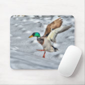 Mallard Duck Birdlover Wildlife Foto Mousepad (Mit Mouse)