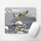 Mallard Duck Birdlover Wildlife Foto Mousepad (Mit Mouse)