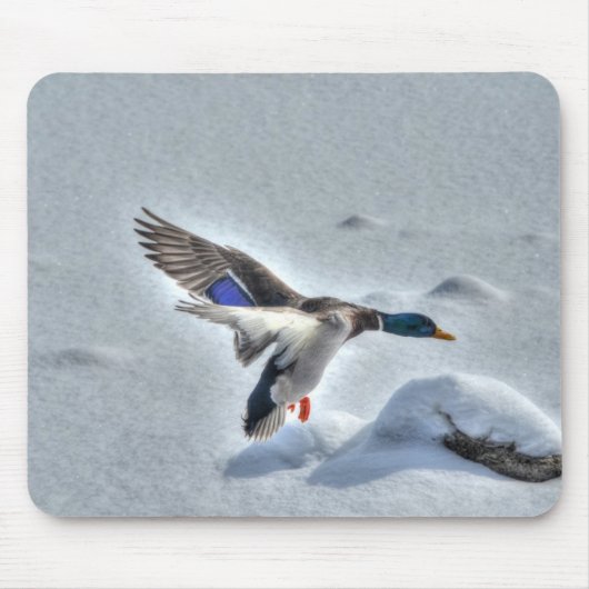 Mallard Duck Birdlover Wildlife Foto Mousepad (Vorne)