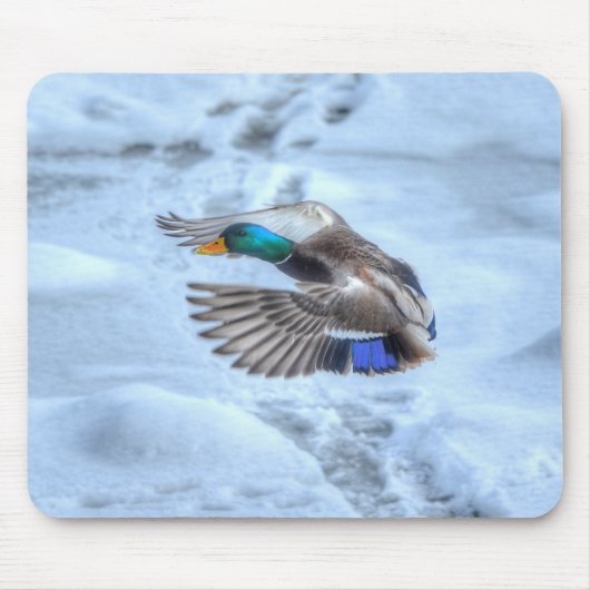 Mallard Duck Birdlover Wildlife Foto Mousepad (Vorne)