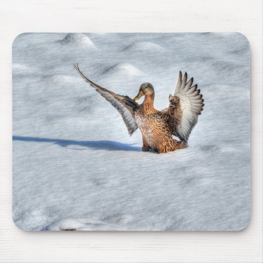 Mallard Duck Birdlover Wildlife Foto Mousepad (Vorne)
