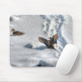 Mallard Duck Birdlover Wildlife Foto Mousepad (Mit Mouse)
