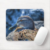Mallard Duck Birdlover Wildlife Portrait Mousepad (Mit Mouse)