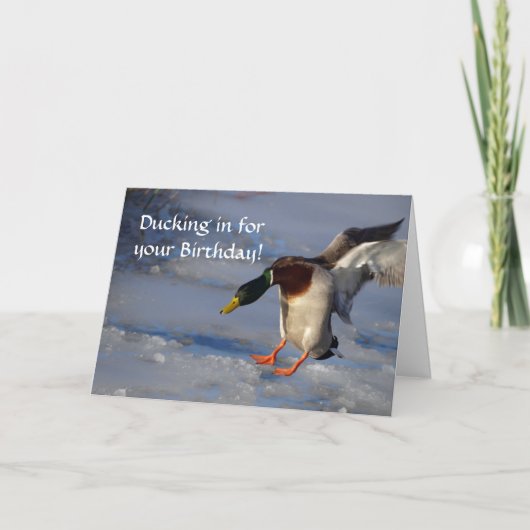 Mallard Duck Birthday Card Karte (Vorderseite)
