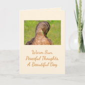 Mallard Duck Birthday Karte (Vorderseite)