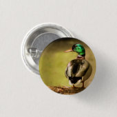 Mallard Duck Button (Vorne & Hinten)